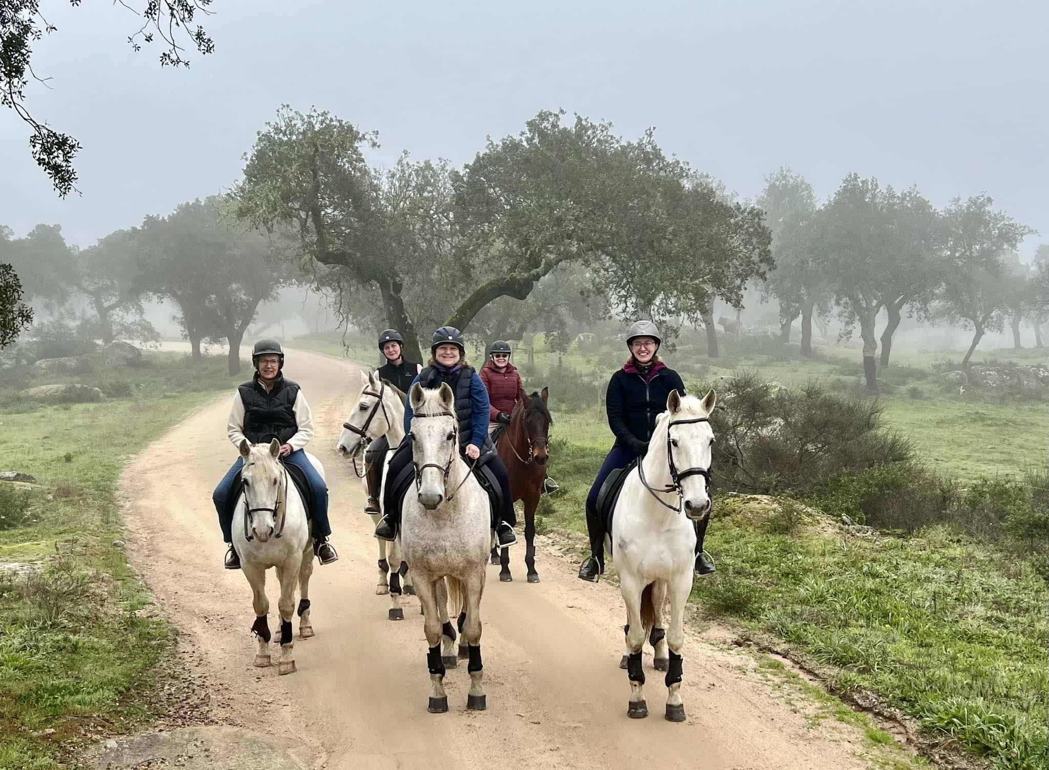 Ride and Write, 2024, Portugal